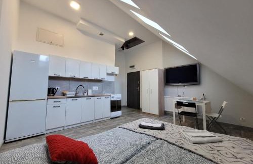 Kwidzyn Apartment | Apartamenty Parkowe nr 8