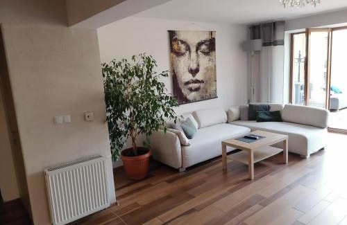 Boguszow-Gorce House | Apartamenty pod Dzikowcem