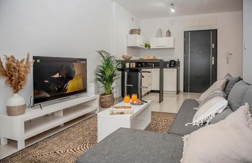 Leszno Apartment | Apartamenty Rejtana