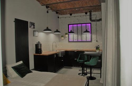 Plock Apartment | Apartamenty STARA PIEKARNIA