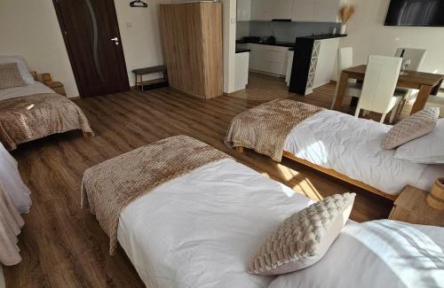 Dzialdowo Apartment | Apartamenty Tadeusza Kościuszki 1 Jaspis