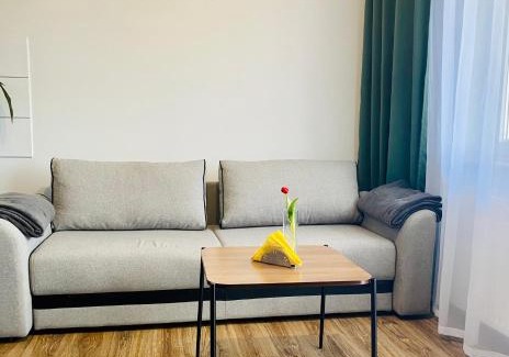 Gorzow Wielkopolski Apartment | Apartamenty Teatralne