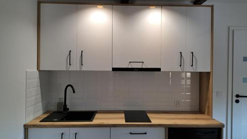 Wilkasy Apartment | Apartamenty u Anety