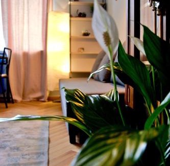 Kamienna Gora Apartment | Apartamenty Wójcik Loft
