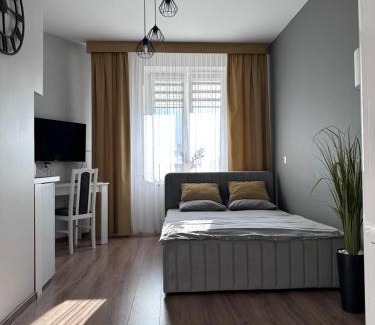 Poddebice Apartment | Apartamenty w Kamienicy