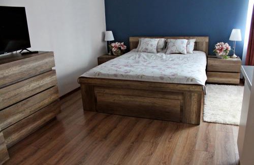 Poddebice Apartment | Apartamenty w Kamienicy