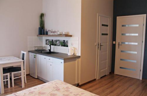 Poddebice Apartment | Apartamenty w Kamienicy