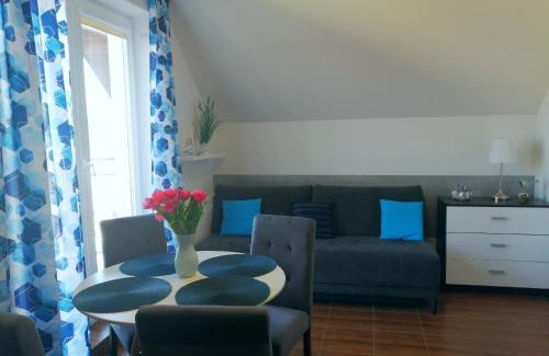 Kuznica Cabin | Apartamenty WIKTORIA morska18