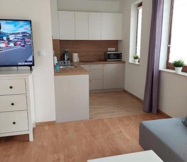 Naleczow Apartment | Apartamenty Zdrojowe