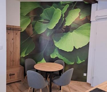 Ciechocinek Apartment | Apartamenty Zielony Liść