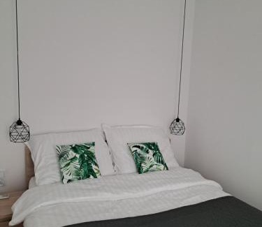 Ciechocinek Apartment | Apartamenty Zielony Liść