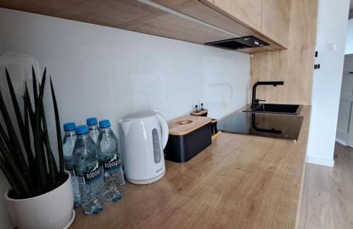 Zamosc Apartment | ApartCentral Zamość