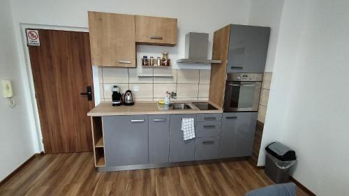Ostrov Apartment | Apartmán AMSEL