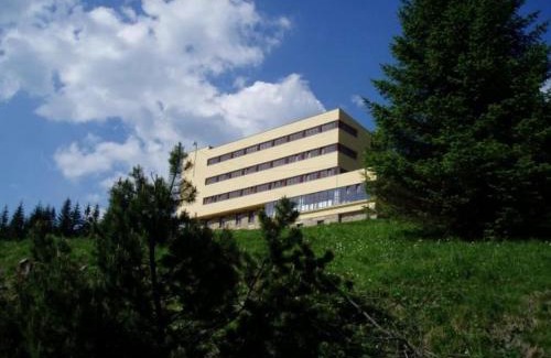 Stare Hamry Apartment | Apartmán Bílý Kříž