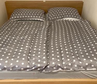 Zelezna Ruda Apartment | Apartmán Brčálník Šumavské Stráně