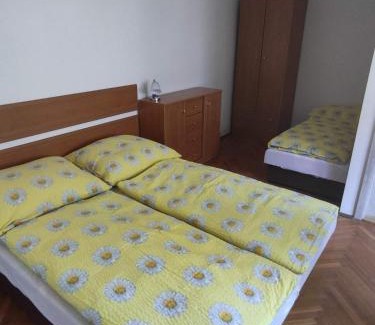 Dvur Kralove nad Labem Apartment | Apartmán Dvůr Králové