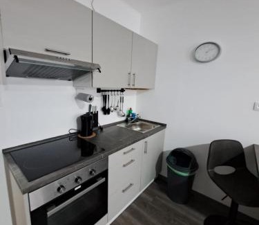 Ostrov Apartment | Apartmán Helena pod Klínovcem