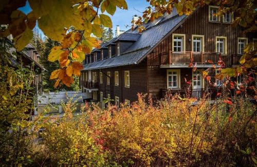 Karlova Studanka Apartment | Apartmán Hubertus No. 17