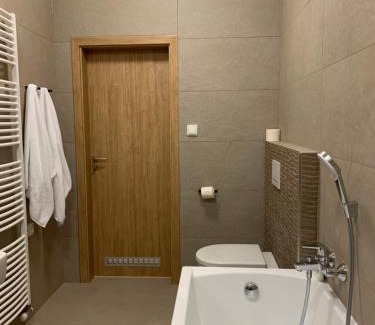 Karlova Studanka Apartment | Apartmán Hubertus No 2