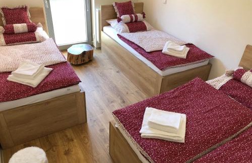 Janske Lazne Apartment | Apartmán Jestřáb č.15