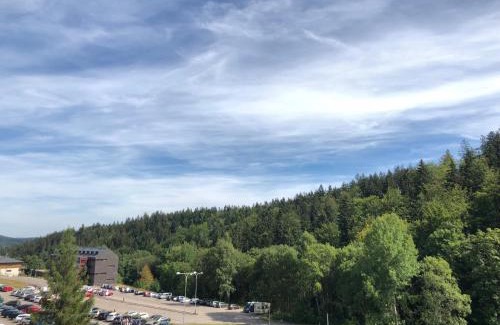 Janske Lazne Apartment | Apartmán Jestřáb