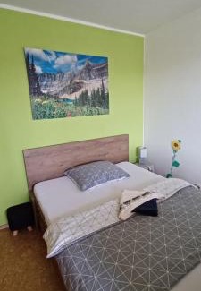 Kovacova Apartment | Apartmán Kováčová - The Apartment in spa village