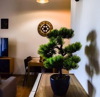 Pavcina Lehota Apartment | Apartmán Leo