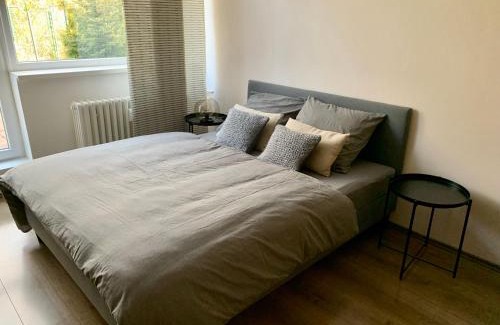 Luhacovice Apartment | Apartmán Luhačovice