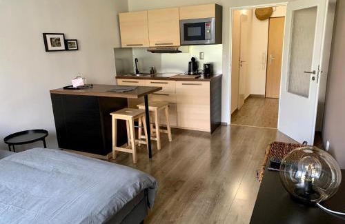 Luhacovice Apartment | Apartmán Luhačovice