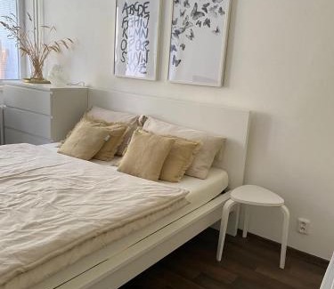 Luhacovice Apartment | Apartmán Luhačovice II.