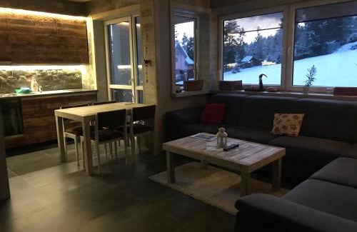 Vysne Ruzbachy Apartment | Apartmán Luky