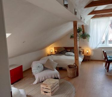 Hartmanice Apartment | Apartmán Mourek