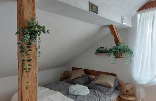 Hartmanice Apartment | Apartmán Mourek
