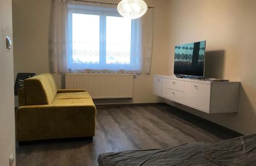 Old Town Plzen Apartment | apartmán Poděbradka