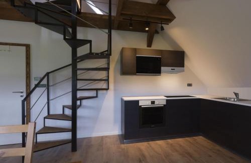 Ricky v Orlickych horach Apartment | Apartmán pod Pustým vrchem
