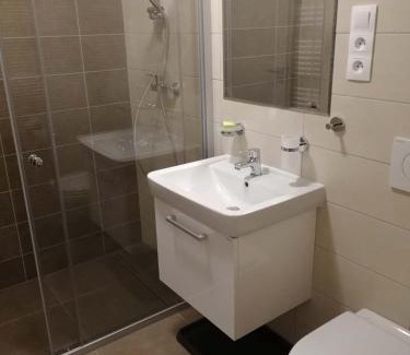 Ricky v Orlickych horach Apartment | Apartmán Praděd v Říčkách - Říčky v Orlických horách