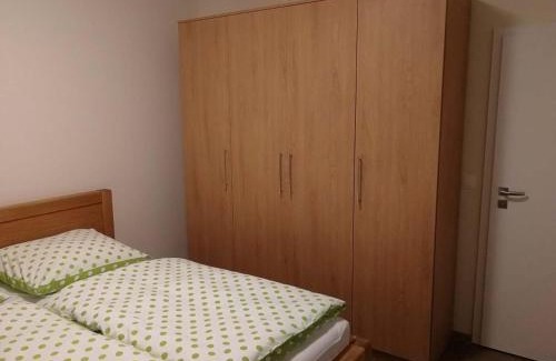 Ricky v Orlickych horach Apartment | Apartmán Praděd v Říčkách - Říčky v Orlických horách
