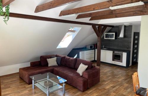 Leskovec nad Moravici Apartment | Apartmán Slezská Harta