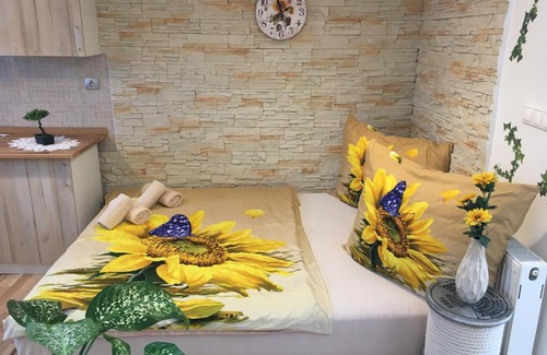 Rudolfov Apartment | Apartmán Slunečnice s terasou