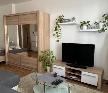 Presov Apartment | Apartmán Torysa