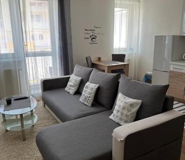 Presov Apartment | Apartmán Torysa