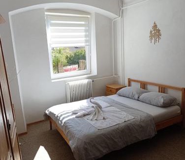 Lazne Kynzvart Apartment | Apartmán U Krtka