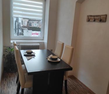 Lazne Kynzvart Apartment | Apartmán U Krtka