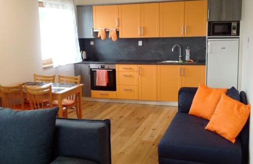 Bela pod Pradedem Apartment | Apartmán u Skiareálu Filipovice