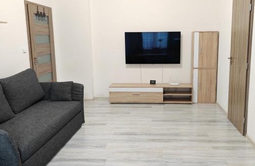 Rymarov Apartment | Apartmán U Suma