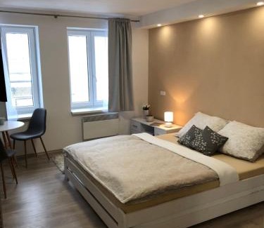 Zlate Hory Apartment | Apartmán U Zlaté hroudy