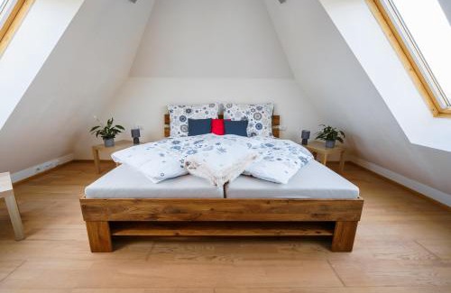 Ostrava Apartment | Apartmán ve vile