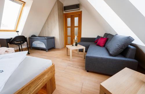 Ostrava Apartment | Apartmán ve vile