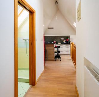 Ostrava Apartment | Apartmán ve vile