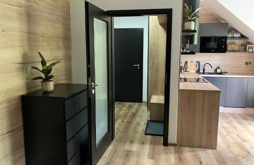 Vrbno pod Pradedem Apartment | Apartmán Vrbno pod Pradědem